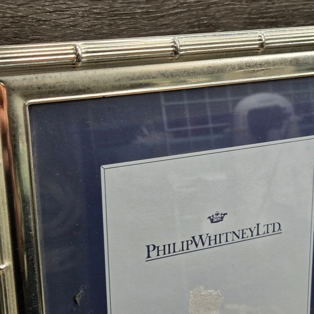 Philip Whitney Silver Plated Faux Bamboo Picture Frame 8x10 Vintage Tabletop
